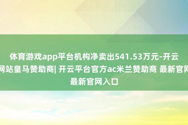 体育游戏app平台机构净卖出541.53万元-开云平台网站皇马赞助商| 开云平台官方ac米兰赞助商 最新官网入口