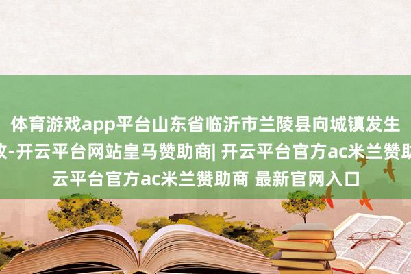 体育游戏app平台山东省临沂市兰陵县向城镇发生多车被撞交通事故-开云平台网站皇马赞助商| 开云平台官方ac米兰赞助商 最新官网入口