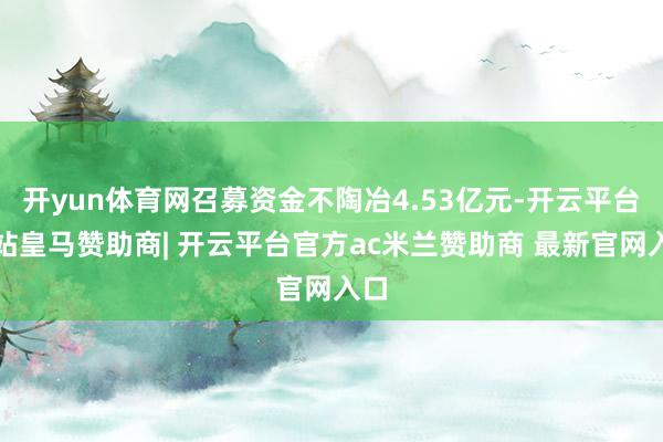 开yun体育网召募资金不陶冶4.53亿元-开云平台网站皇马赞助商| 开云平台官方ac米兰赞助商 最新官网入口